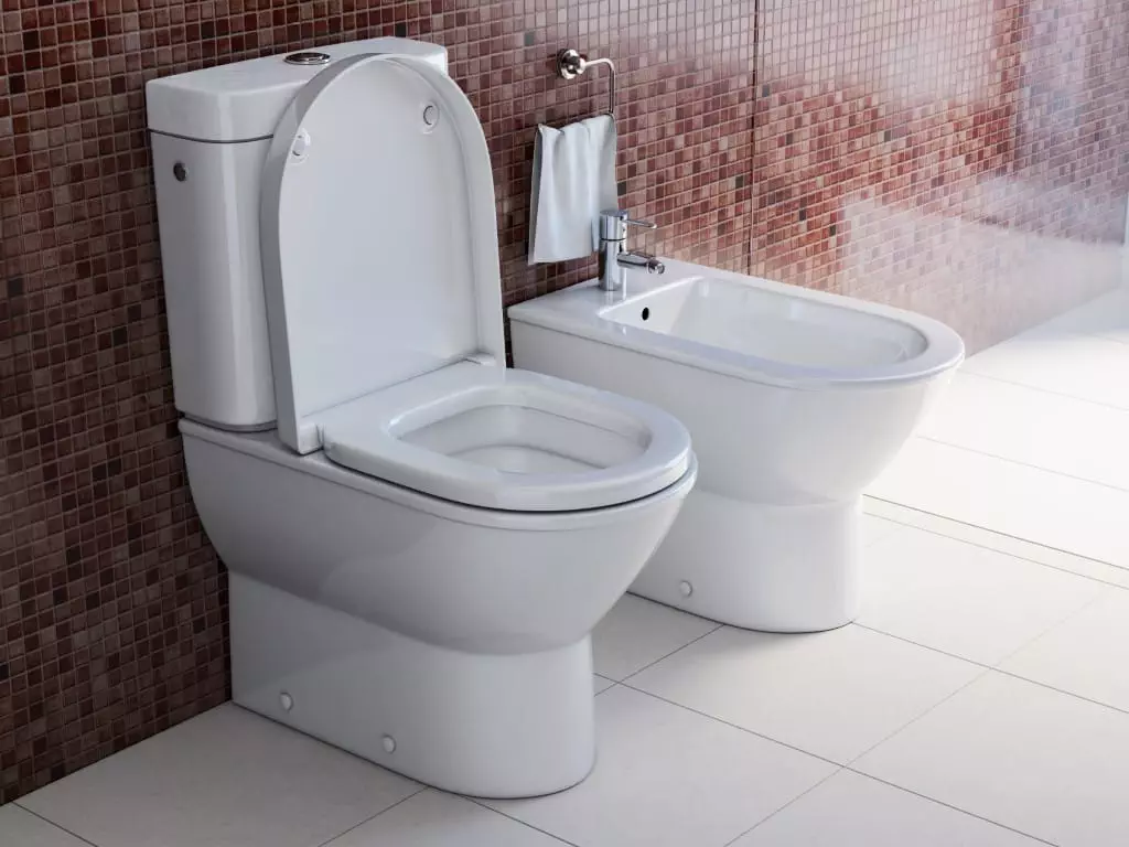 toilet bowl and bidet in the modern bathroom 2021 08 26 16 57 05 utc Medium